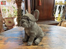 SITTING BLUE FRENCH BULLDOG