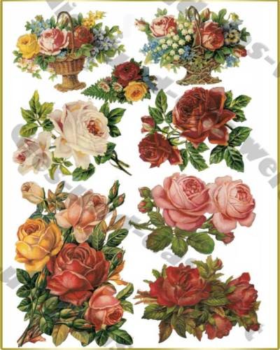 Vintage roses iron on - ✿,