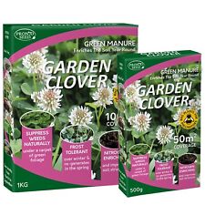 White Clover Seeds Eco-Friendly Flowering Lawn Seed 50m2 or 100m2 Coverage