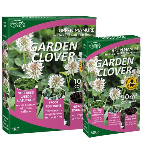 White clover seeds - white,