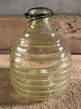 Glass Wasp Trap Beehive