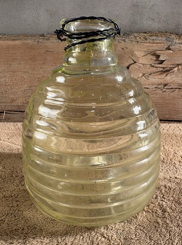 Glass wasp trap beehive - wasp,