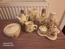 VINTAGE * BRIXHAM POTTERY * CERAMIC CONDIMENT CRUET SET FLORAL MADE IN DEVON