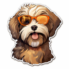 Havanese Car Sticker Dog
