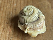 Hand Carved Tagua Nut