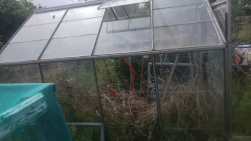 Halls popular greenhouse - popular,