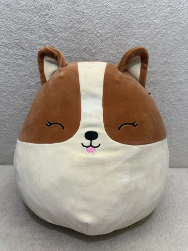 Squishmallows regina the corgi - regina,