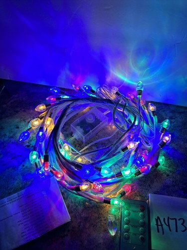 Bethlehem lights twig - lights, 5'