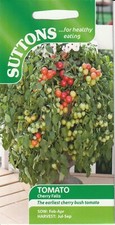 Cherry Tomato Seeds-CHERRY FALLS-Early to Fruit-Easy to grow-Low Maintenance
