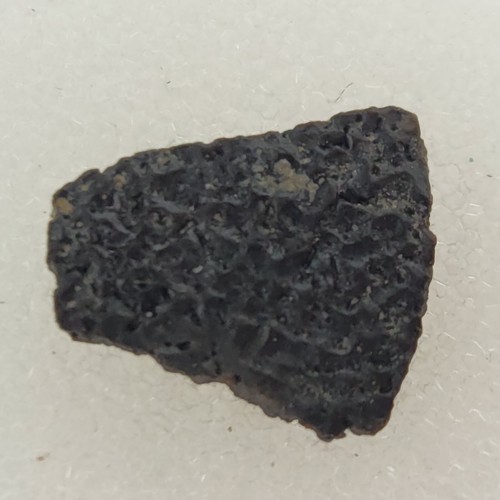 Hadrosaur egg shell fossil - hadrosaur,