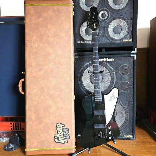 Gibson thunderbird - gibson,