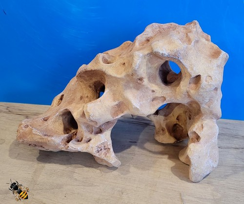 Sea rock aquarium fish - sea, xl