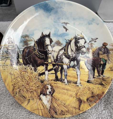 Danbury mint collectors plate - danbury, collectors'