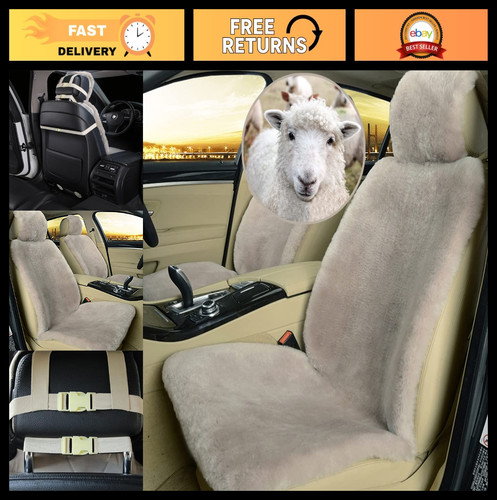 Genuine sheepskin seat covers - seat,
