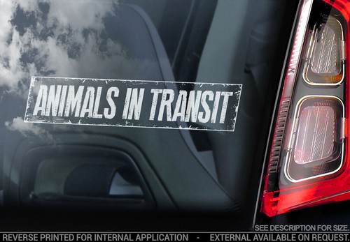 Animals transit car sticker - animals, in
