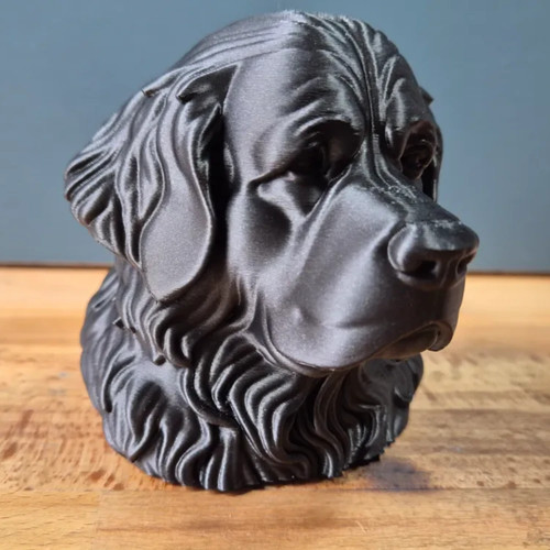 Newfoundland dog bust home - bust,