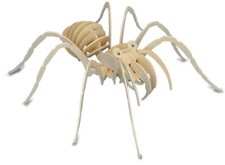 Quay Tarantula Woodcraft