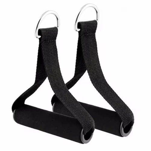 Exercise handles gym - exercise,
