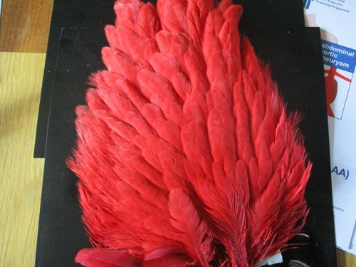 Genetic hen saddle - red, capes