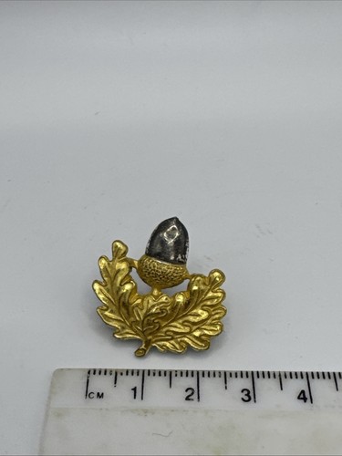 Cheshire regiment officers - regiment,
