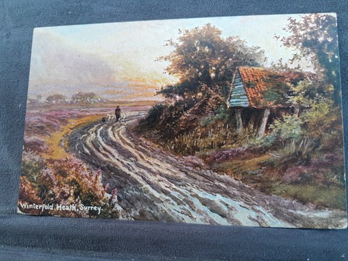 Winterfold heath hildesheimer - heath,