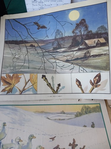 Enid blyton nature plates - enid,