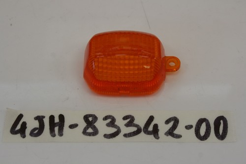 Right blinker lens - blinker,