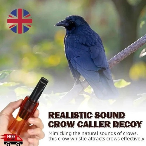 Outdoor crow rook call - rook, whistle