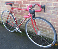 53cm Classic Steel Bottecchia Cycle