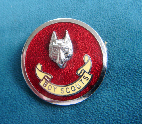 Boy scouts scout master red - boy,