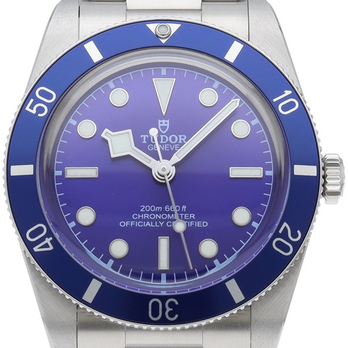 Tudor black bay - black, 54
