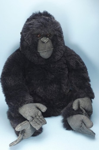 Black gorilla shaggy fur - gorilla,