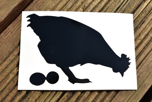 Chicken eggs farm vinyl - chicken,