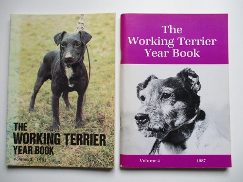 The working terrier - working, year