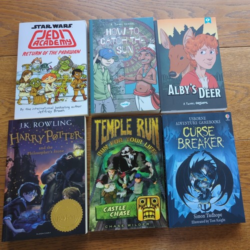 New boys book bundle including