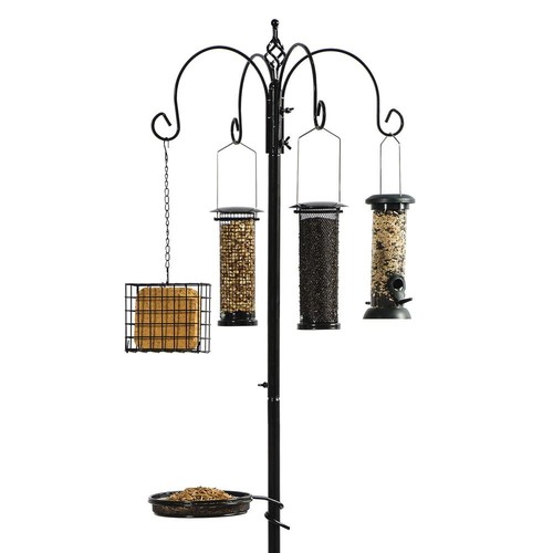 Buffet multi bird feeding - buffet,