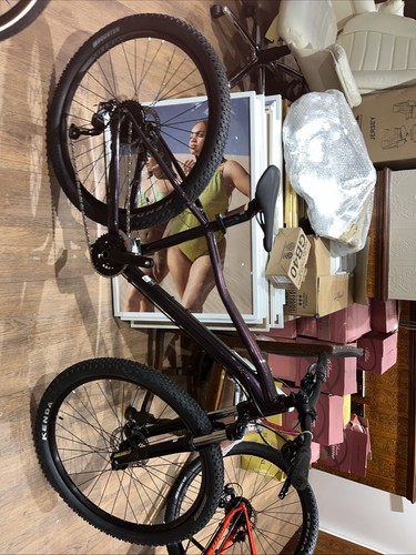 Scott contessa brand new - contessa,