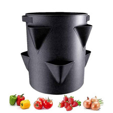 Strawberry planters outdoor - strawberry,