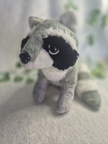 All about nature - all, raccoon