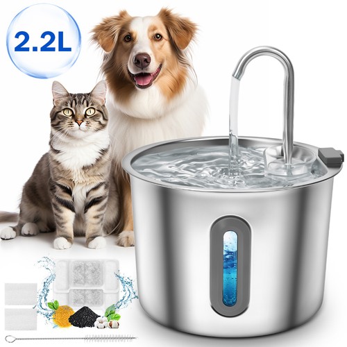 Cat water fountain - cat, for