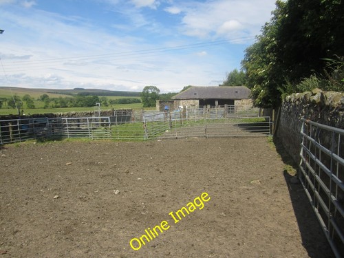 Photo 6x4 sheep pens east - sheep,