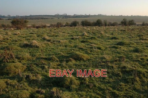 Photo brockeridge common - photo,