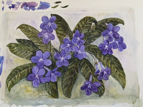 Original watercolour painting