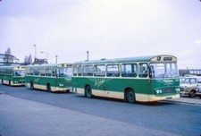 PHOTO Provincial Seddon