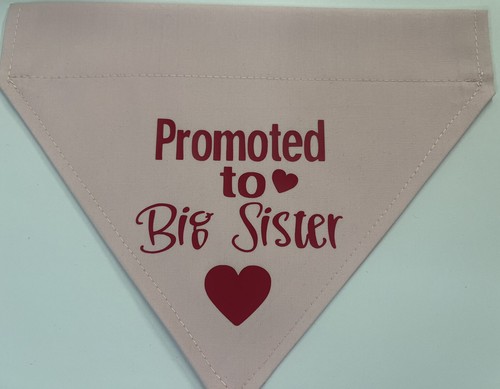 Dog bandana promoted big - dog, to
