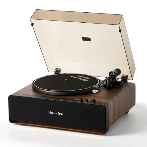 Vinyl record player high - vinyl,