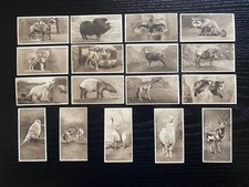 SUNRIPE CIGARETTES ZOOLOGICAL SERIES TOBACCO CARD x 20 DIFFERENT CARDS 