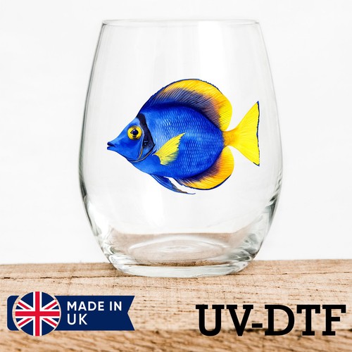 Blue tang fish 8pcs - , dtf