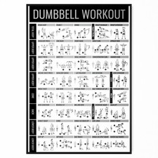 DUMBELL GYM WORKOUT EXERCISE FITNESS TRAINING CHART EXERCISE POSTER A5-A1