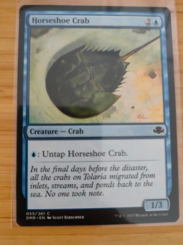 Mtg horseshoe crab - mtg,